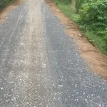 Bán đất mặt tiền đường huyện lộ 48 - Ảnh thu nhỏ 3