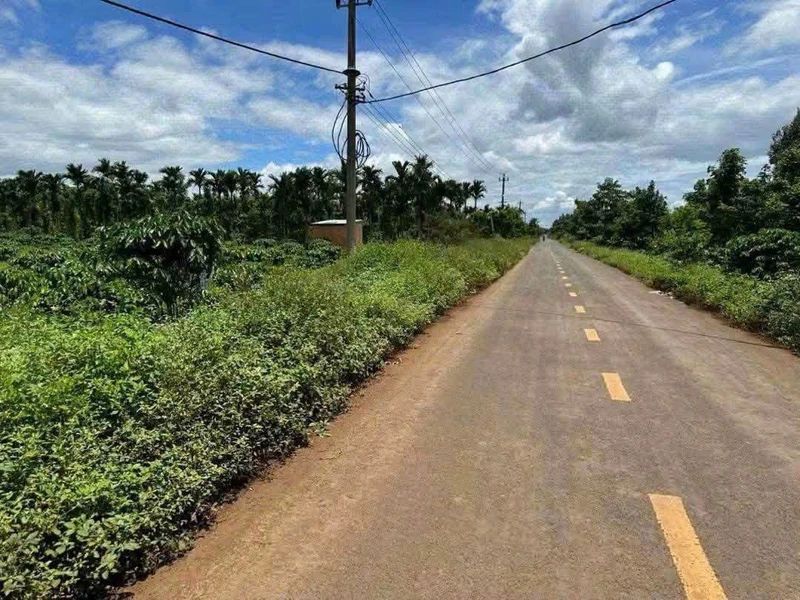Bán 6.4 sào đất nông nghiệp mặt tiền Đắk Lắk 590tr/sào