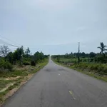 Bán đất QL29 Đắk Lắk 9000m2 giá 30tr/m ngang - Ảnh thu nhỏ 2