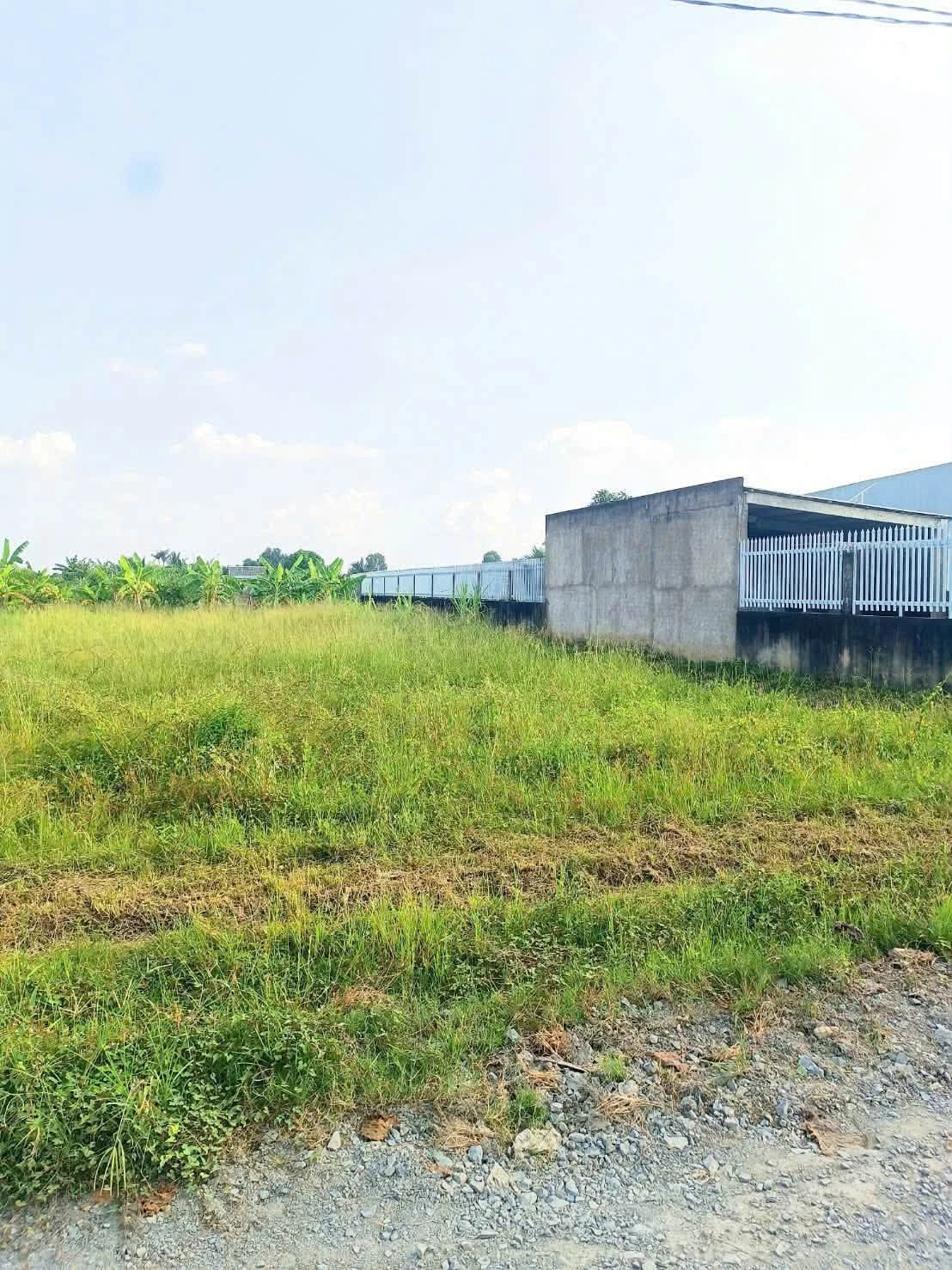 Bán đất nền 125m² Phước Toàn Tây Ninh 479 triệu - Ảnh 1