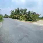 Bán đất thổ cư mặt tiền đường nhựa 10x44m tại xã An Lục Long, Tây Ninh - Ảnh thu nhỏ 5