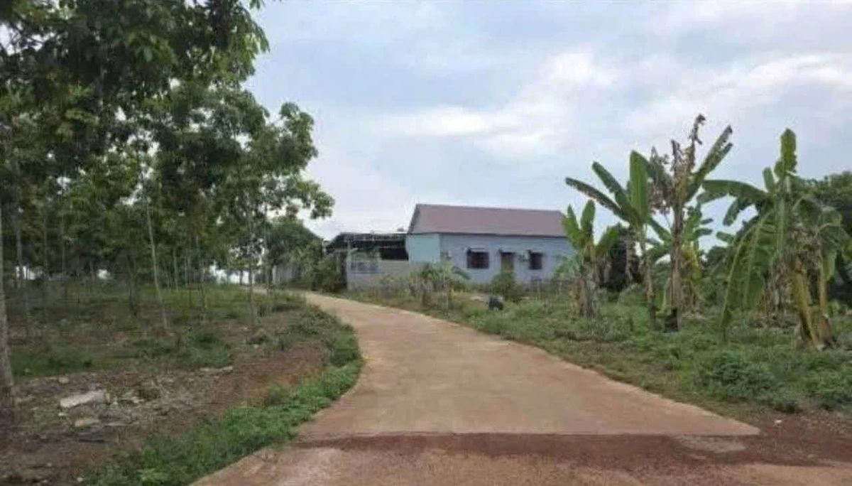 Bán đất Tân Đông Bình Chánh 360m², lô góc 2 mặt tiền - Ảnh 1