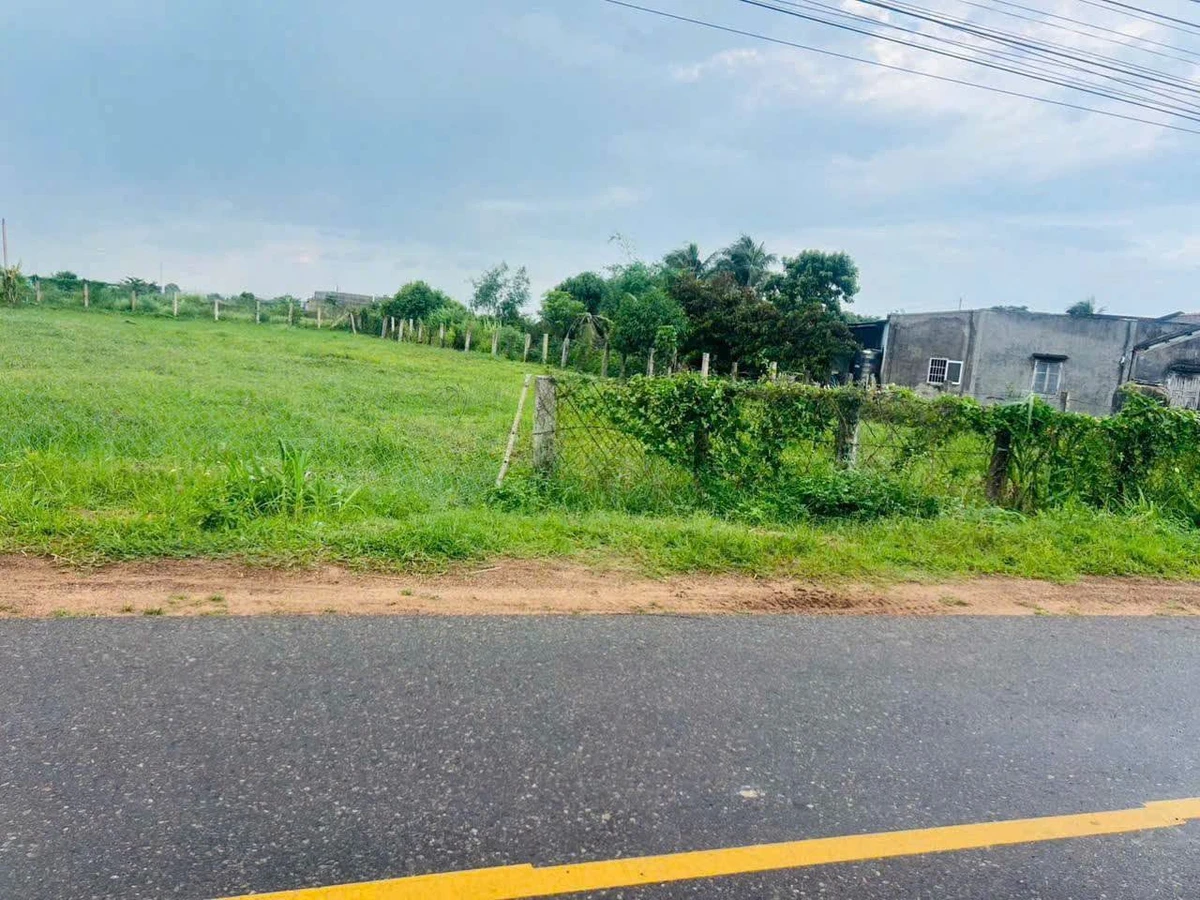 Bán đất 1200m mặt tiền sát chợ Tân Nông, Phan Thiết, 3.5 tỷ - Ảnh thu nhỏ 3