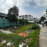 Bán đất Tân Túc 110m² sổ hồng riêng 3 tỷ - Ảnh thu nhỏ 3