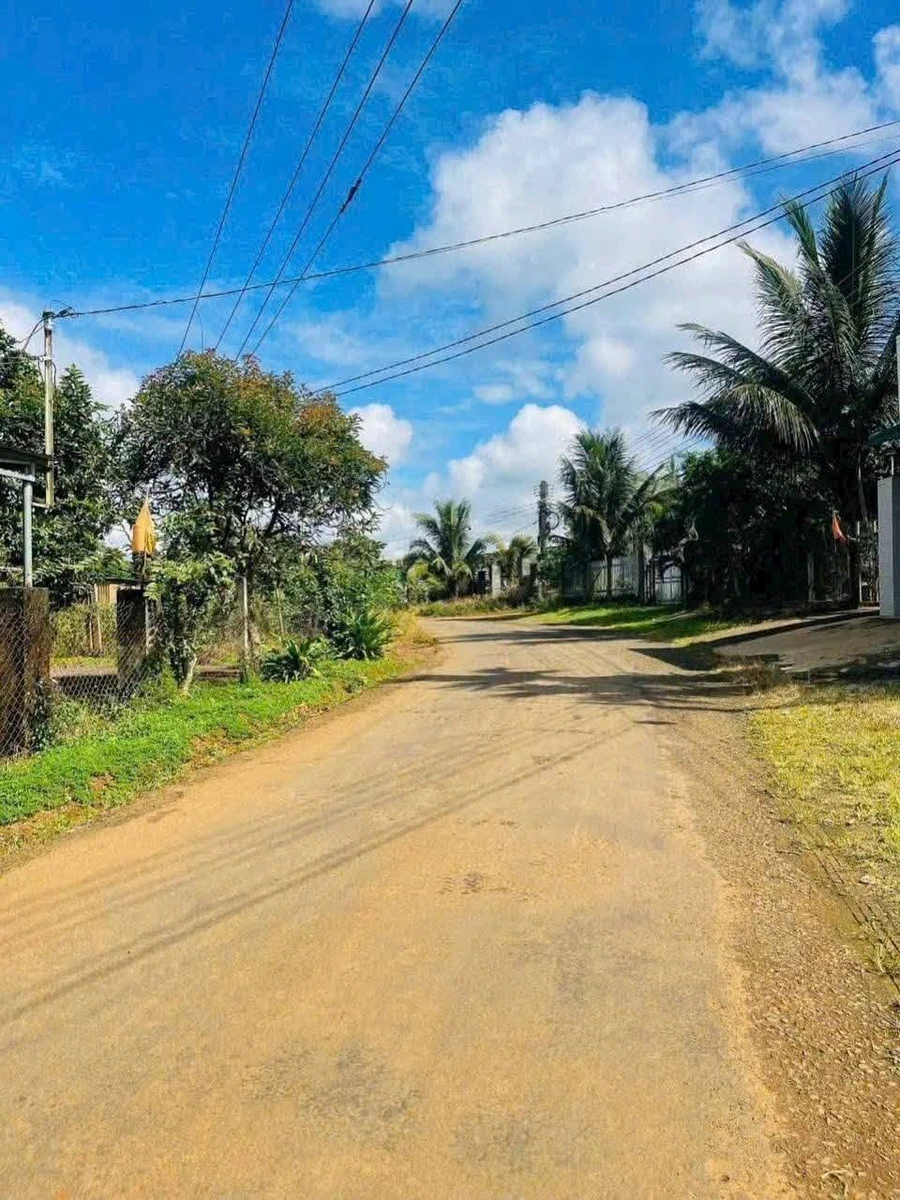 Bán đất mặt tiền Lê Duẩn Hóc Môn, 280m², 1 tỷ - Ảnh thu nhỏ 2