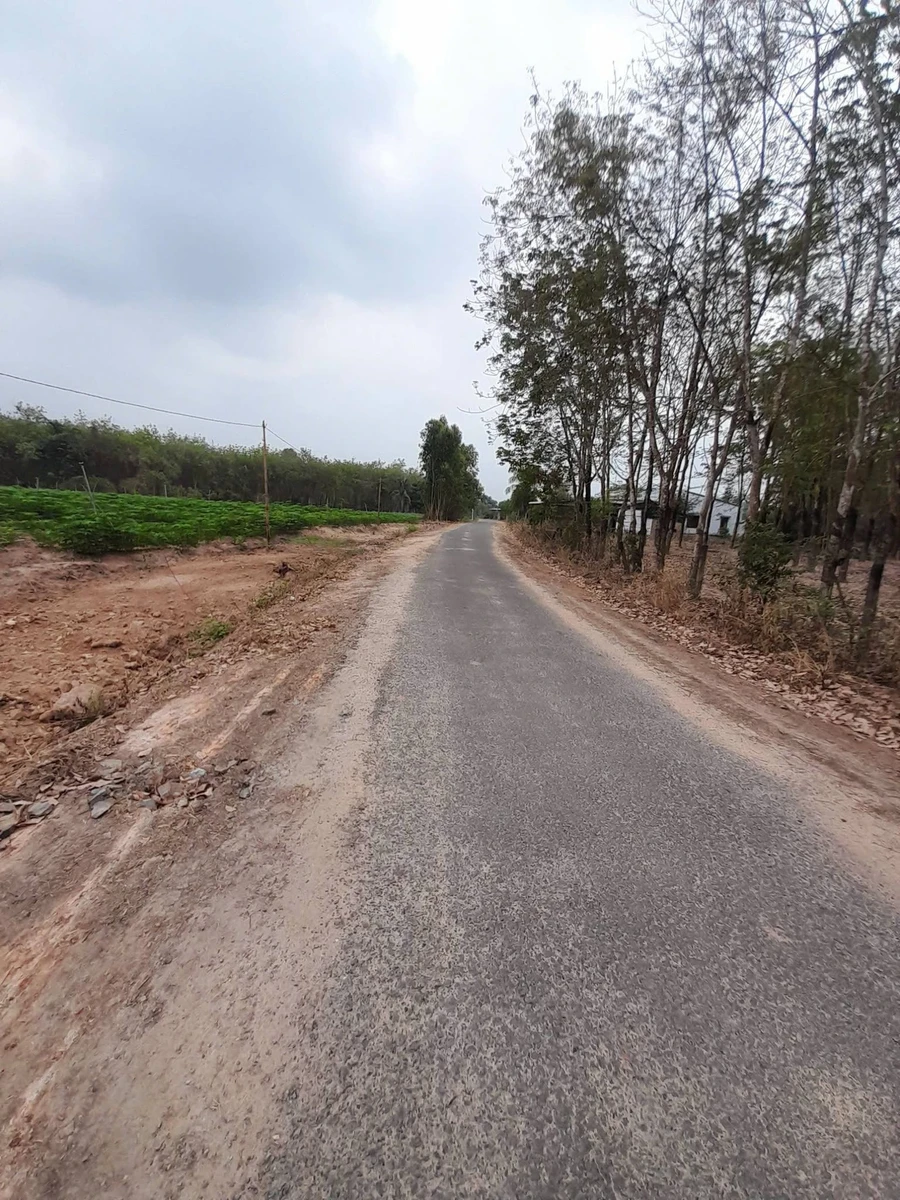 Bán 2 công đất mặt tiền Phước Vinh 498 triệu - Ảnh thu nhỏ 2