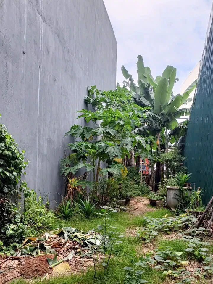 Bán đất mặt tiền Phạm Văn Đồng 88m², Quảng Ngãi - Ảnh thu nhỏ 2
