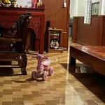 Bán nhà 2 phòng ngủ 100 m² Tân Phước, Đồng Phú - Ảnh thu nhỏ 2