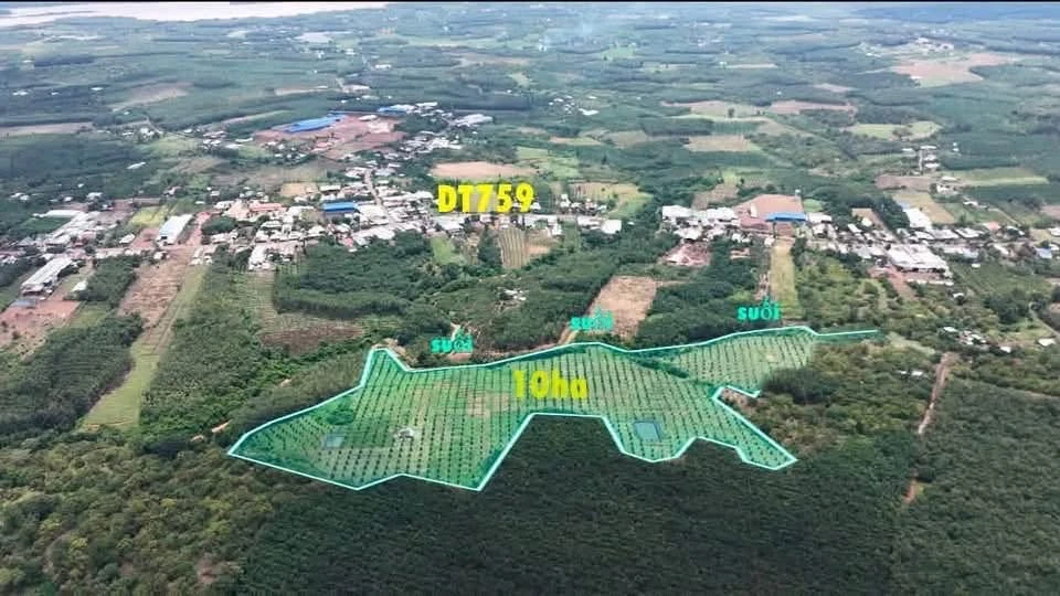 Bán 10ha đất vườn sầu riêng Thái giá 2 tỷ/ha tại Đak Ia, Bình Phước (cũ), Đồng Nai - Ảnh thu nhỏ 2