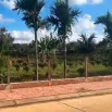 Bán 3,5 sào đường 26m có vỉa hè trung tâm thị trấn Krông Năng Đắk Lắk - Ảnh thu nhỏ 6