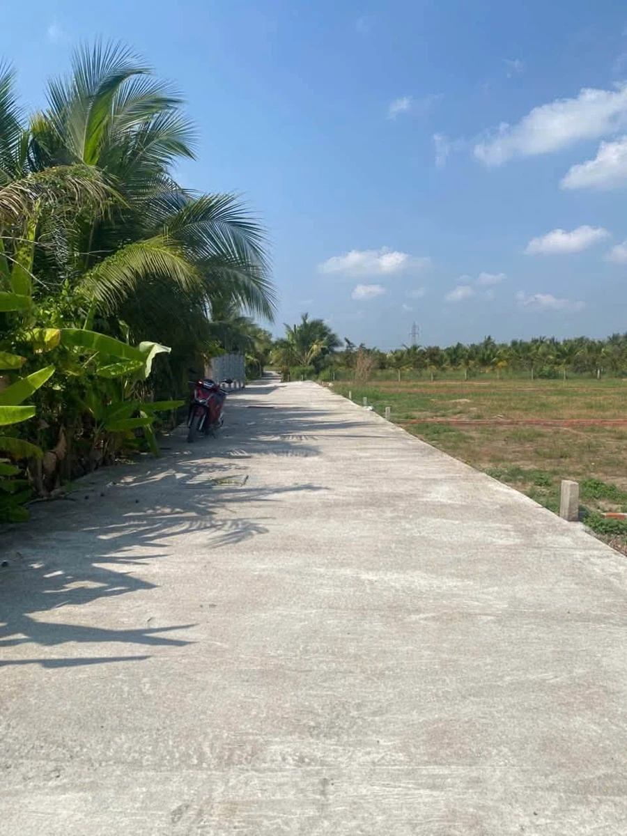 Bán đất nền 5m×29m (145m²) Tây Ninh 650 triệu - Ảnh thu nhỏ 2