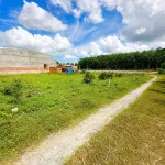 Đất phường Gò Dầu 5x27m full thổ cư 470tr, sổ hồng riêng đường ô tô thông - Ảnh thu nhỏ 12