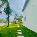 Bán vườn 1.600m² Hàm Chính, Bình Thuận 1 tỷ 790 - Ảnh thu nhỏ 4