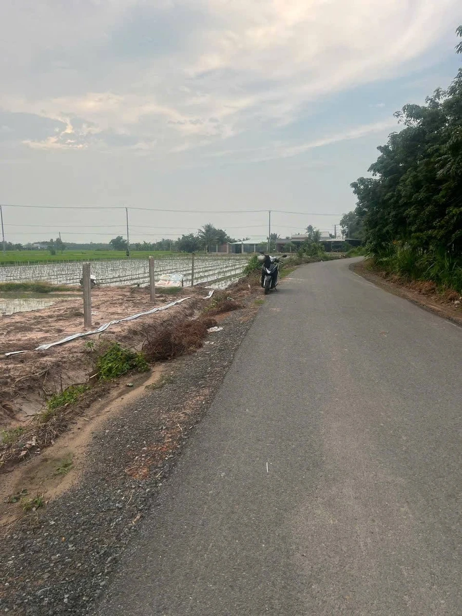 Bán đất 1169m² mặt tiền nhựa Long Thuận, Tây Ninh, 295 triệu - Ảnh thu nhỏ 4