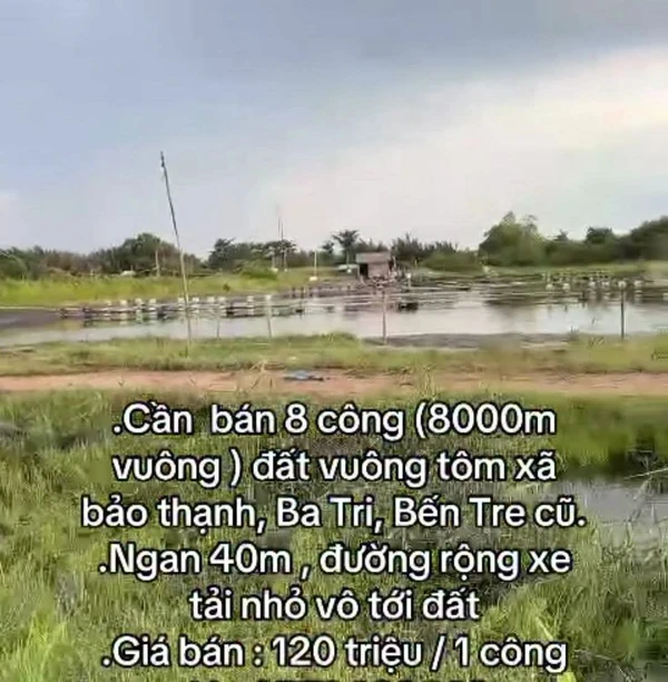 Bán 8000m² đất ao tôm tại Ba Tri, Bến Tre