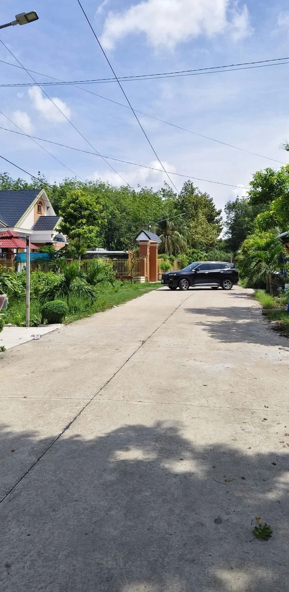 Đất bán 100m² Trừ Văn Thố, Bình Chánh 699 triệu - Ảnh thu nhỏ 5