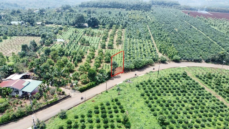 Bán đất 300m² full sổ hồng gần Pleiku, Gia Lai 299 triệu
