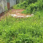 Bán lô đất thổ cư kinh doanh mặt tiền Quốc Lộ 28, 166,8m² Bình Thuận - Ảnh thu nhỏ 2