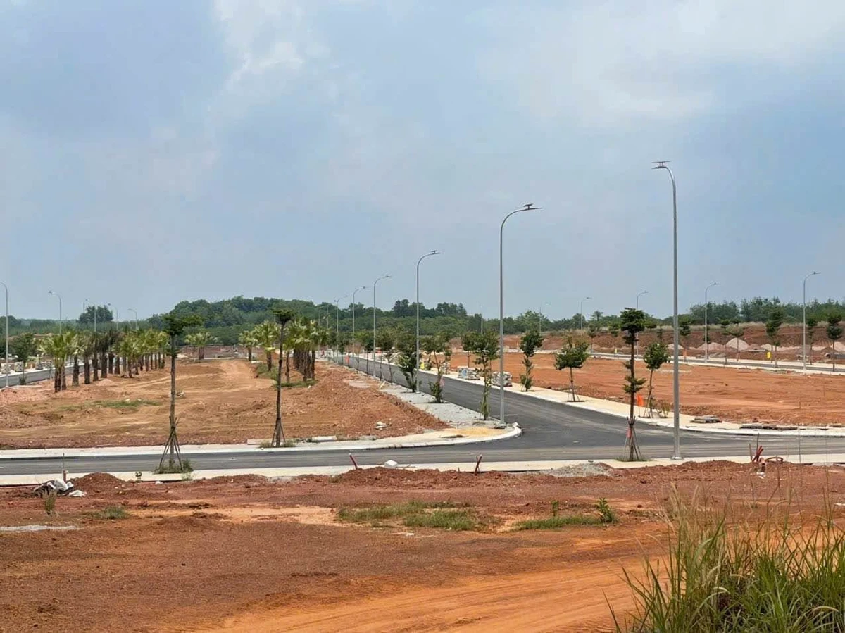 Bán đất suối cam Tiến Thành 228 m² Nhà Bè - Ảnh thu nhỏ 3