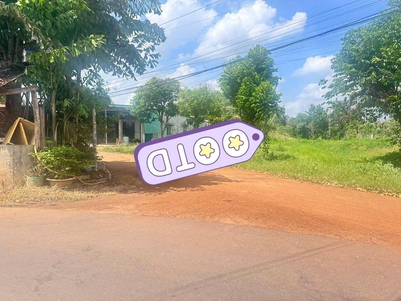 Bán đất mặt tiền 31m x 100m (3.100m²) Tân Châu, Tây Ninh