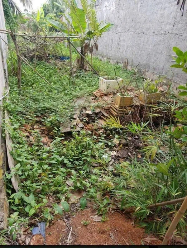 Bán nền thổ cư 100% 5x24m giá 770 triệu tại Lương Bình, Bến Lức, Long An