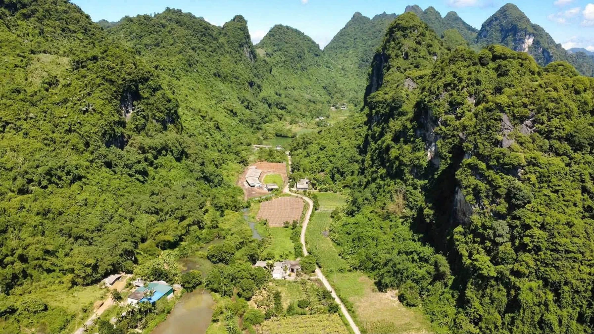 Bán đất Kim Bôi Hòa Bình 1.200m² suối chảy 1,4 tỷ - Ảnh thu nhỏ 3
