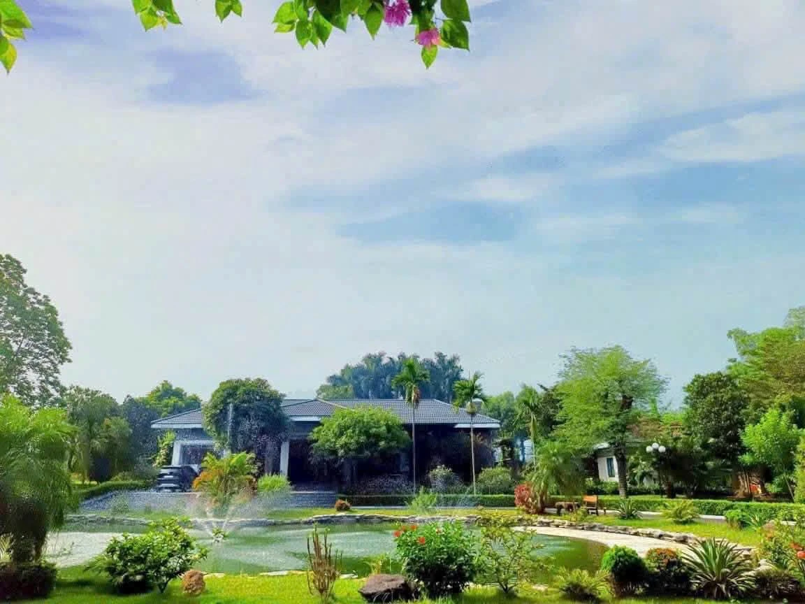 Bán biệt thự homestay 5.200m² Lương Sơn Hòa Bình, giá 32 tỷ - Ảnh 1