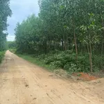 Bán lô đất vườn 7400 m² tại Khánh Hòa - Ảnh thu nhỏ 3