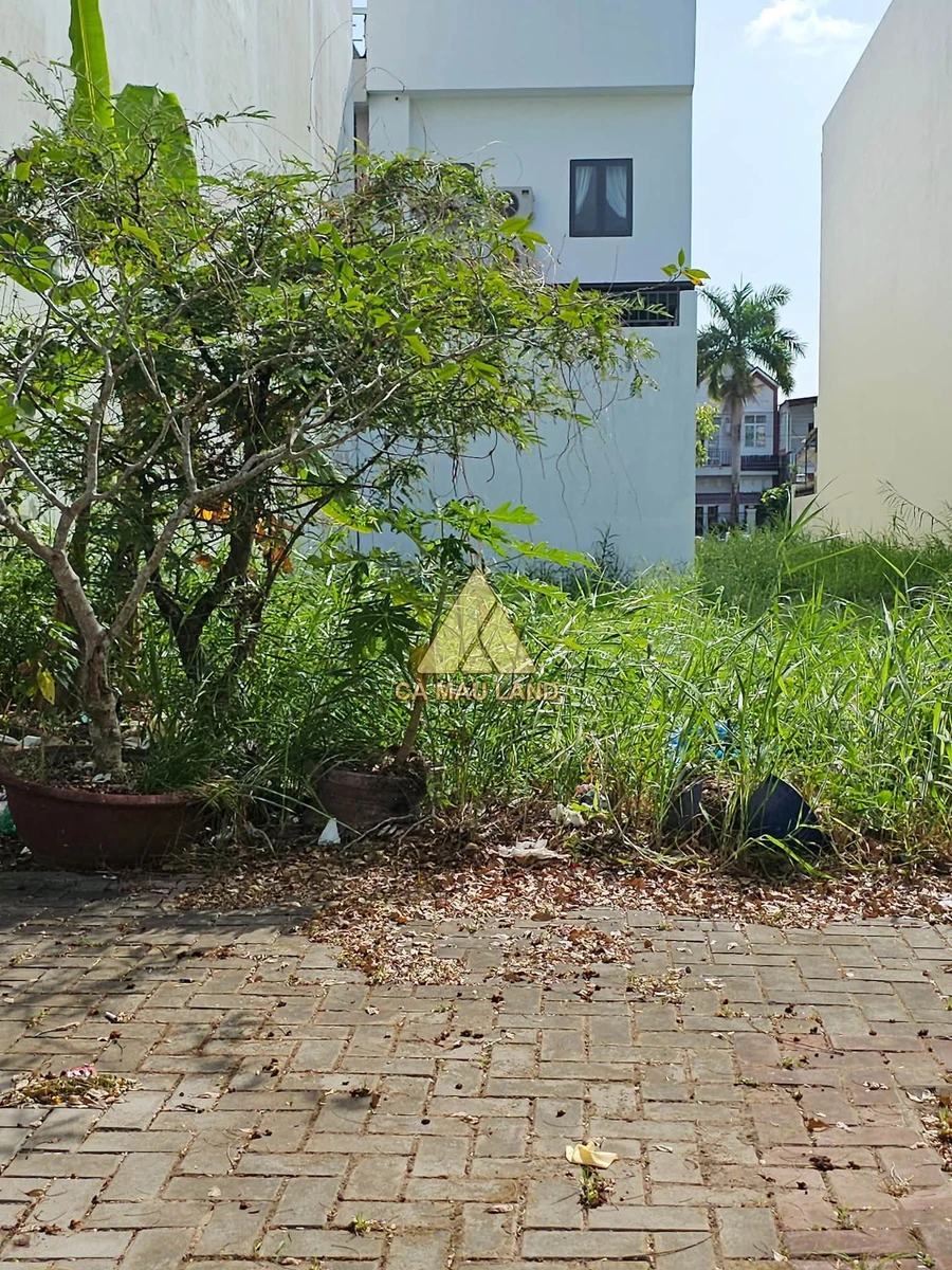 Bán nền đất 5x20m (100m2) đường số 7 khu Minh Thắng, Phường 9, Cà Mau - Ảnh thu nhỏ 2