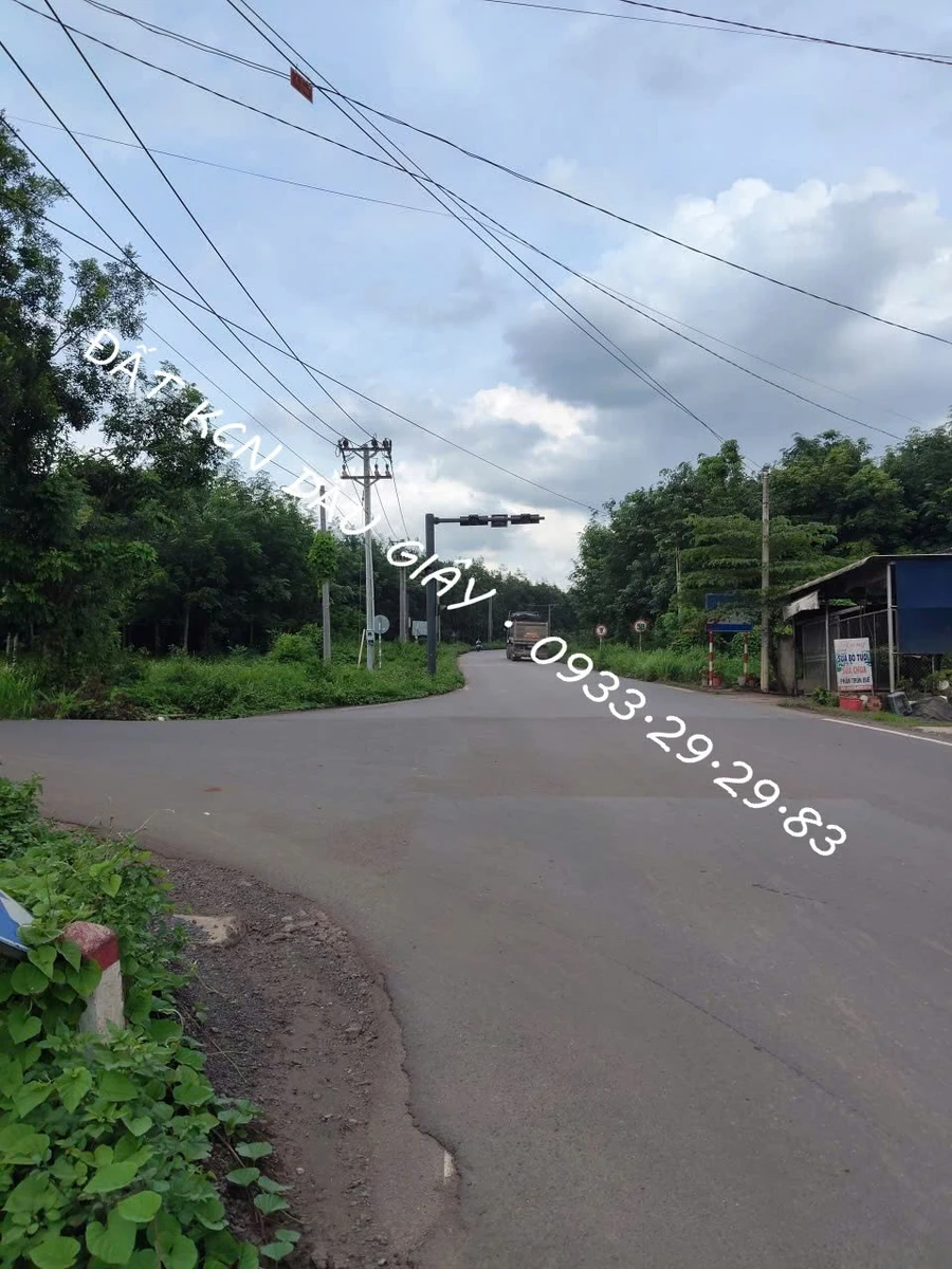 Bán đất 122m² 80m² thổ cư sổ riêng Bình Dương 390 triệu - Ảnh thu nhỏ 4