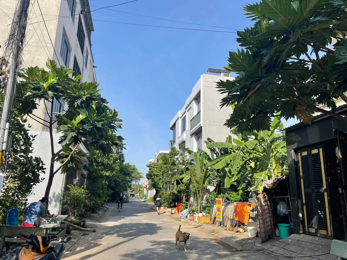 Bán nhà phố 58m2 đường Thông hướng Nam Thủ Đức 4,3 tỷ - Ảnh thu nhỏ 2