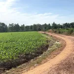 Bán đất 2000m² mặt tiền ở Châu Thành, Tây Ninh - Ảnh thu nhỏ 1