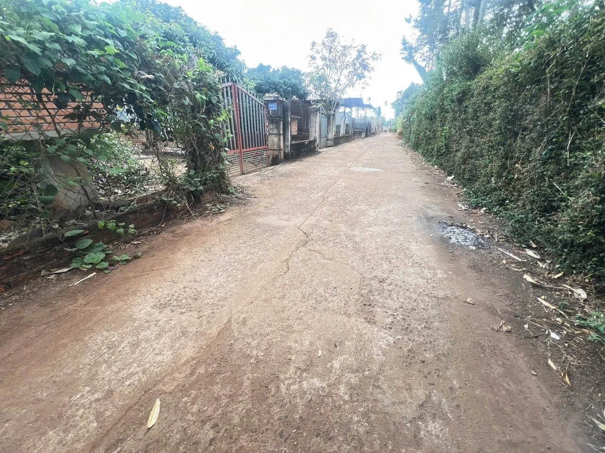 Bán đất hẻm Đại Lộ Đông Tây 230m² Bình Chánh - Ảnh thu nhỏ 3