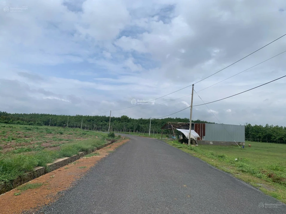 Cơ hội hiếm chỉ 15 tỷ sở hữu 80.000m2 đất cao su Đồng Nai, đón đầu đô thị biên giới tương lai - Ảnh thu nhỏ 5