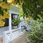Bán đất nền 120m² Quận 6 giá 9.8 tỷ - Ảnh thu nhỏ 3