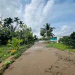Bán đất trồng mít Thái 6835m² Đông Phước A Cần Thơ - Ảnh thu nhỏ 3