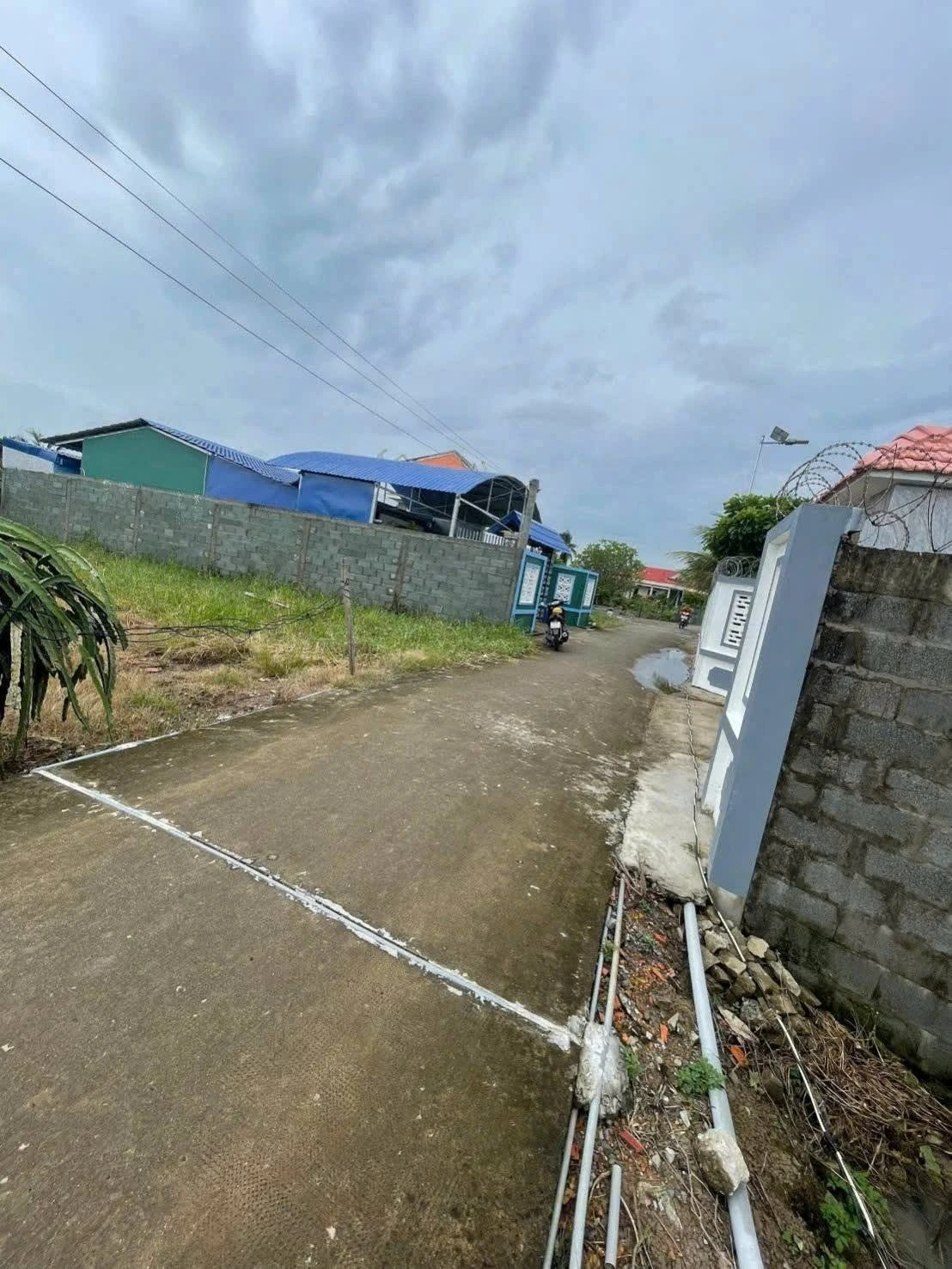 Bán đất thổ cư 7,5x18m giá 499 triệu tại ấp 1, Phú Ngãi Trị, Châu Thành, Long An - Ảnh 1