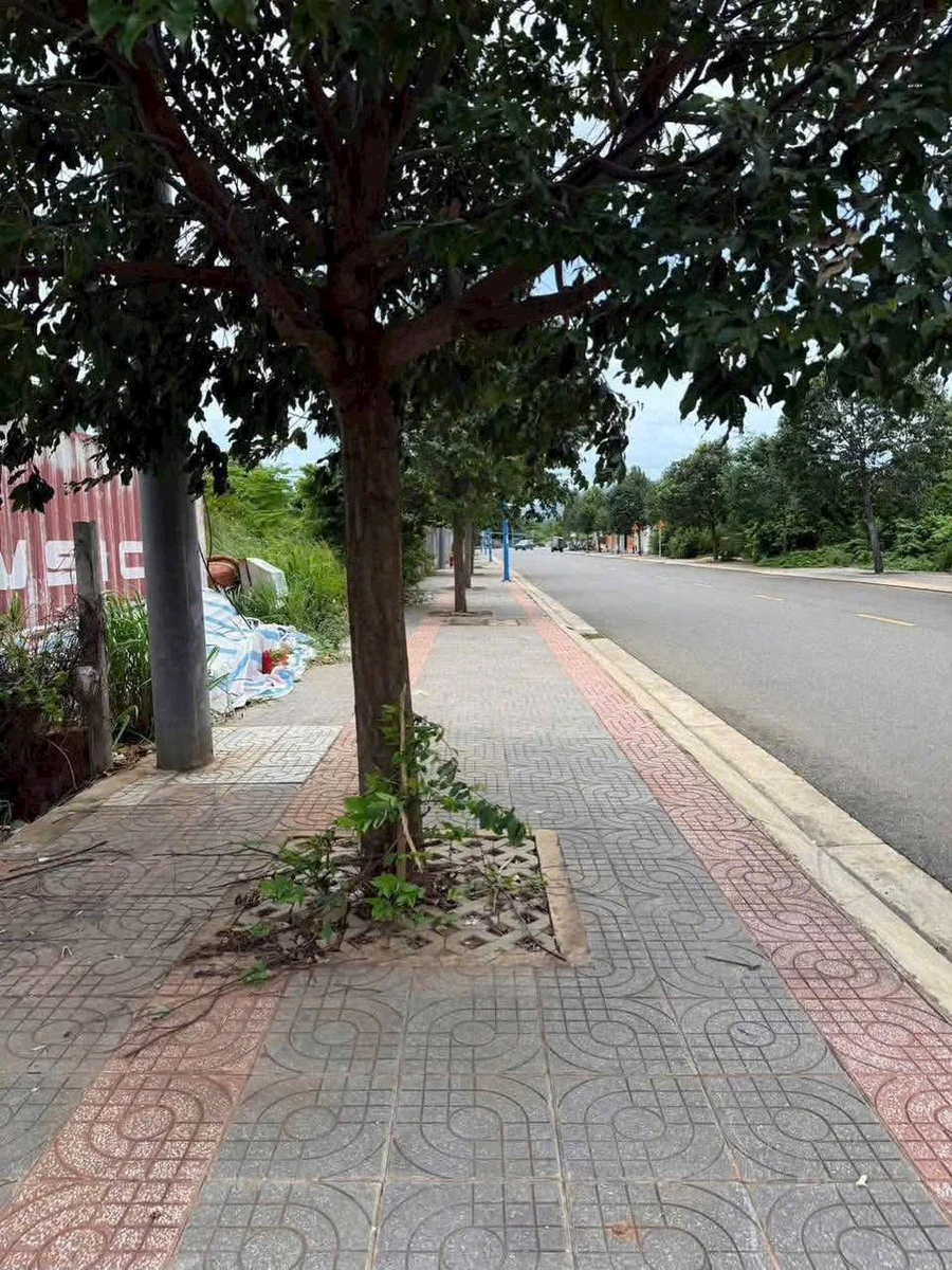 Bán đất mặt tiền Lê Duẩn, Đất Đỏ, 250m², 3.4 tỷ - Ảnh thu nhỏ 2