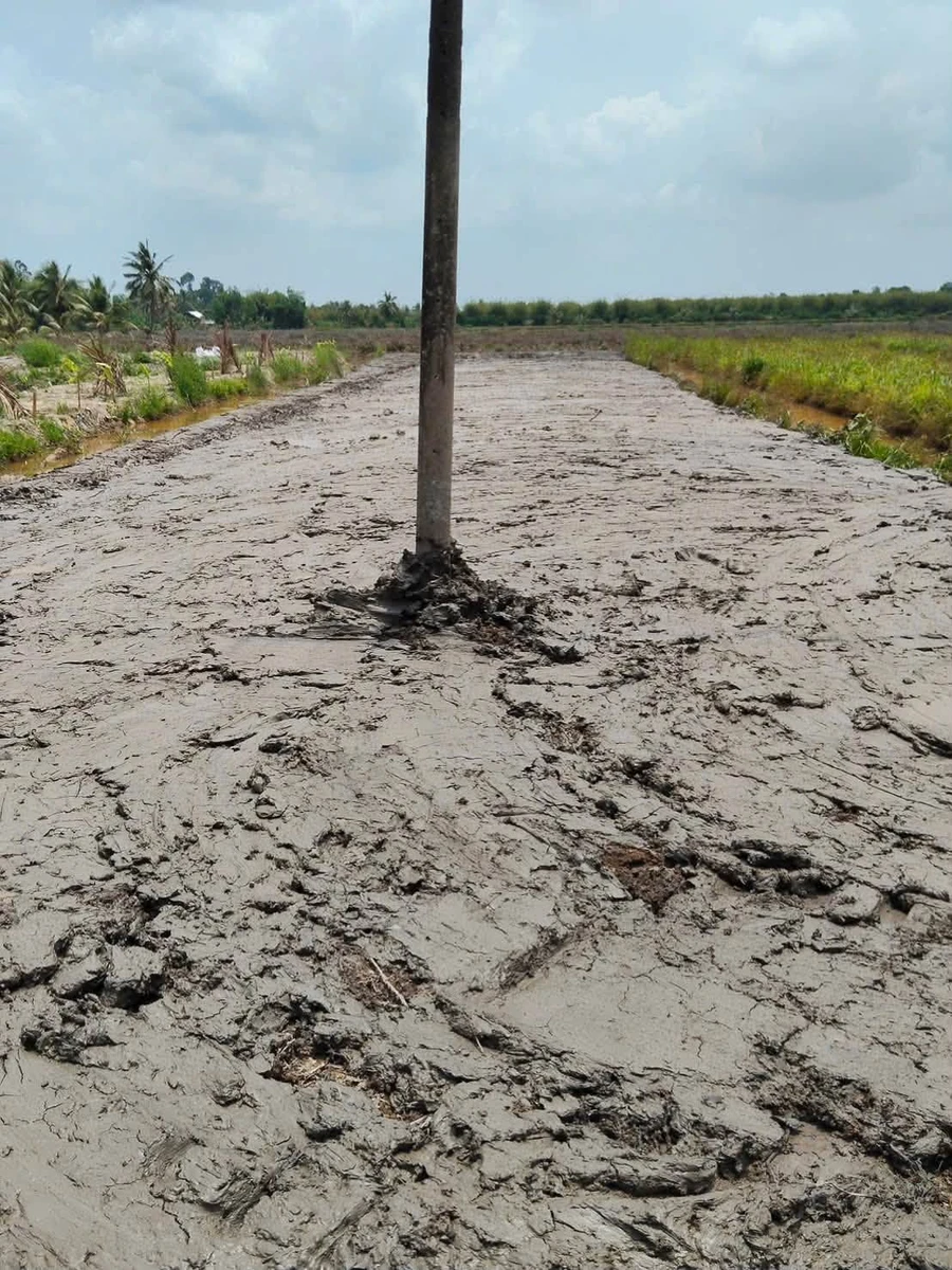Bán 2 nền đất Hoả Lựu Cần Thơ 5,2x70m và 6,7x70m - Ảnh thu nhỏ 3