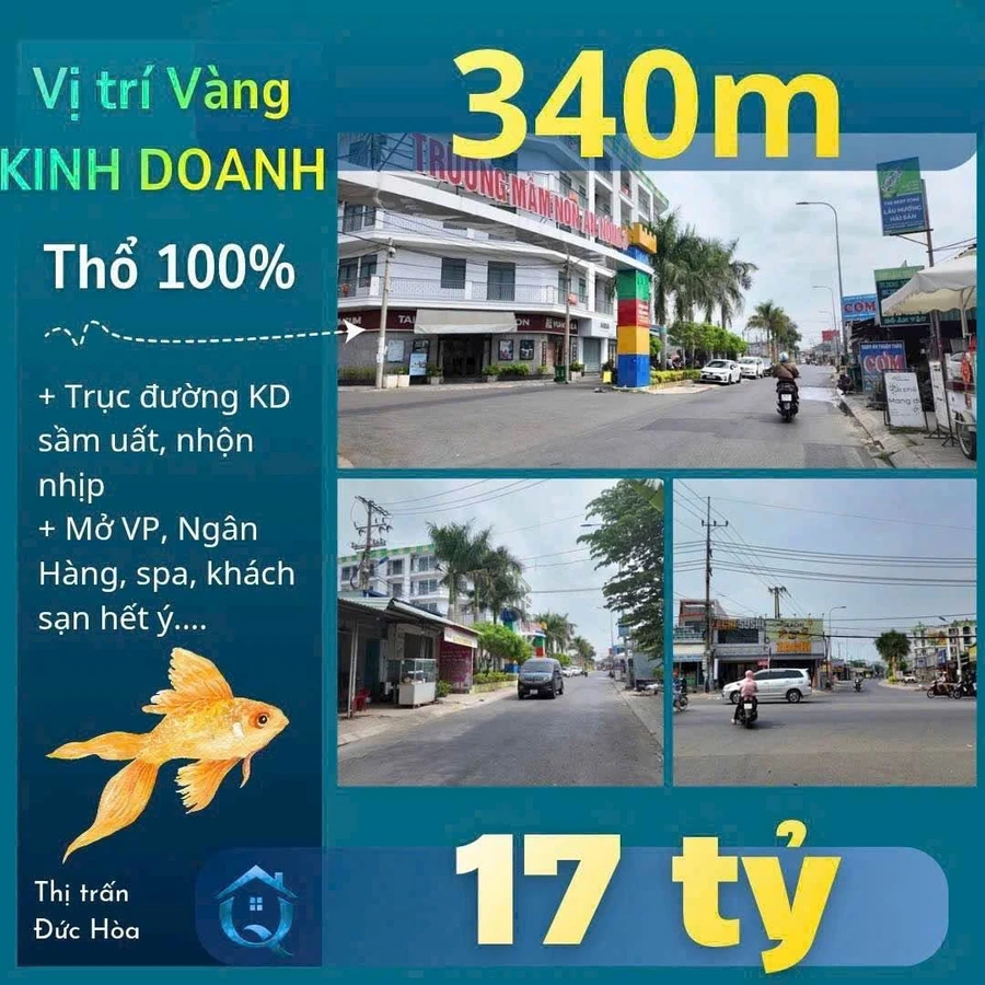 Bán mặt bằng mặt tiền Võ Văn Ngân 340m² Đức Hòa - Ảnh thu nhỏ 3