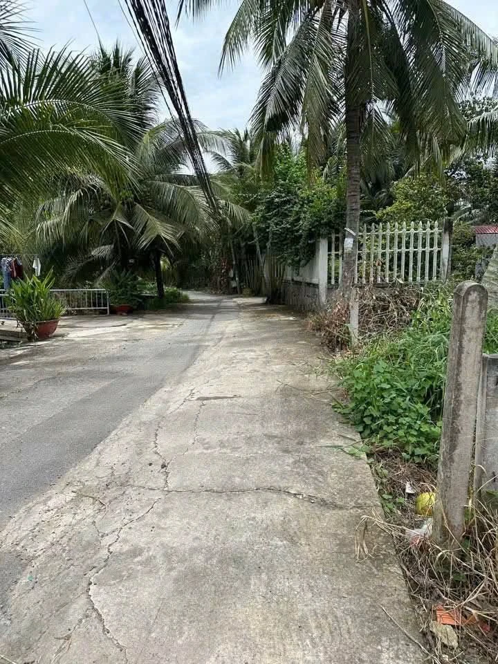 Bán nền biệt thự Phú Tân 151m2 1 tỷ 080 triệu - Ảnh 1