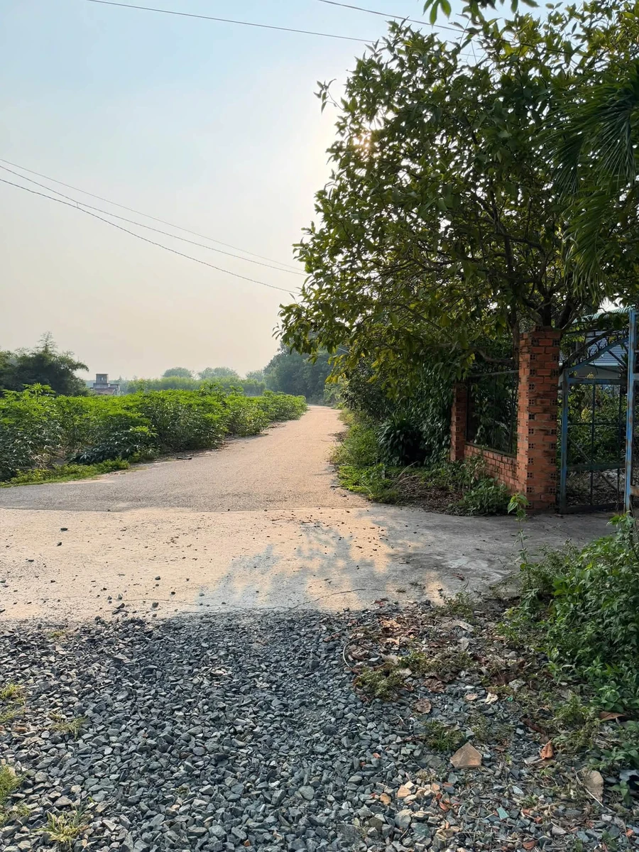 Bán đất mặt tiền Nhánh DT751, Chơn Thành, 279m2, 350 triệu - Ảnh thu nhỏ 5