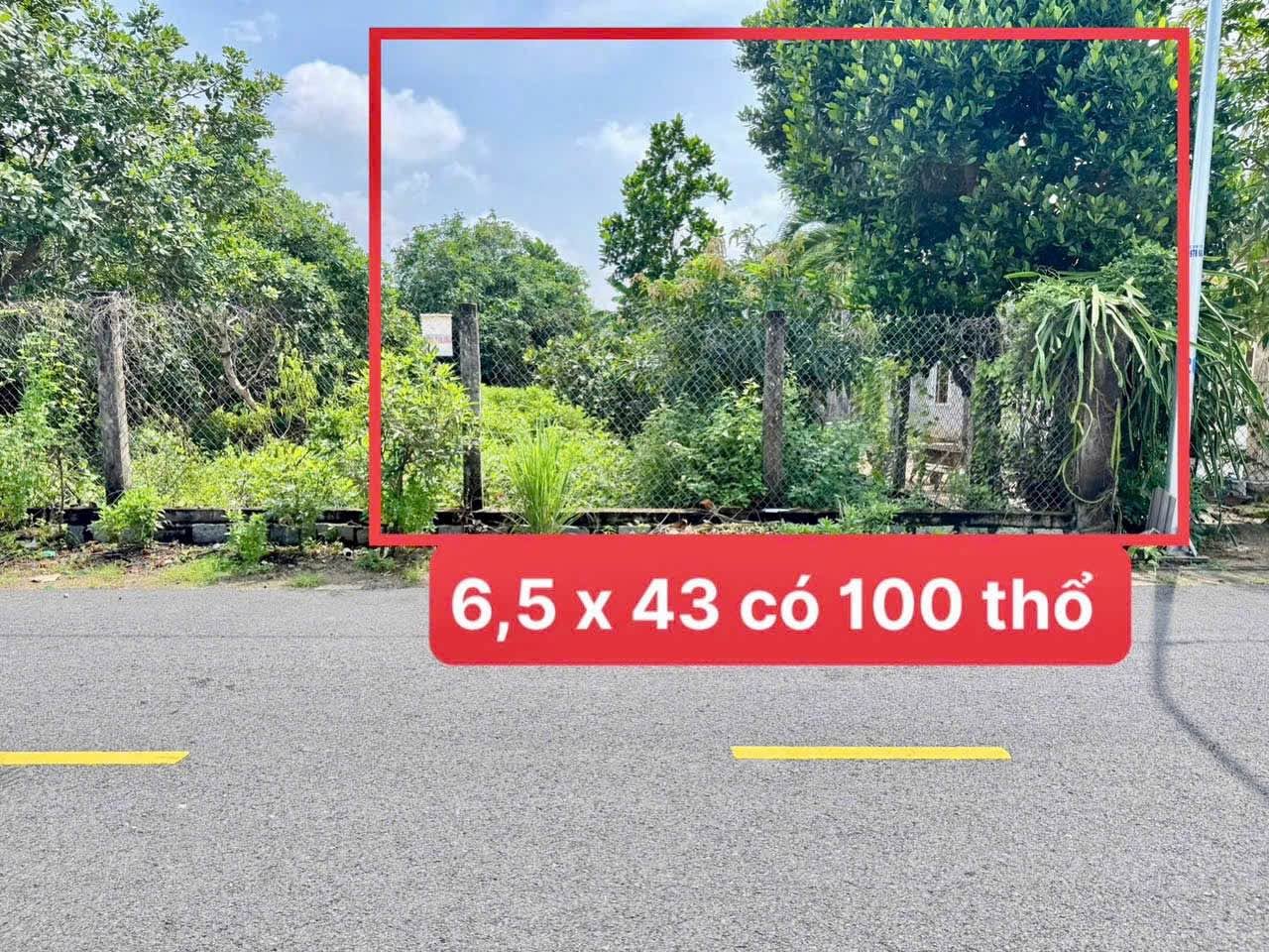 Bán đất mặt tiền Đường Số 1 Tam An 278m² - Ảnh thu nhỏ 4