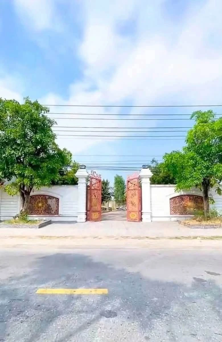 Bán lô đất 1.537m² mặt tiền đường Tỉnh Lộ 826, Cần Đước, Long An - Ảnh thu nhỏ 2