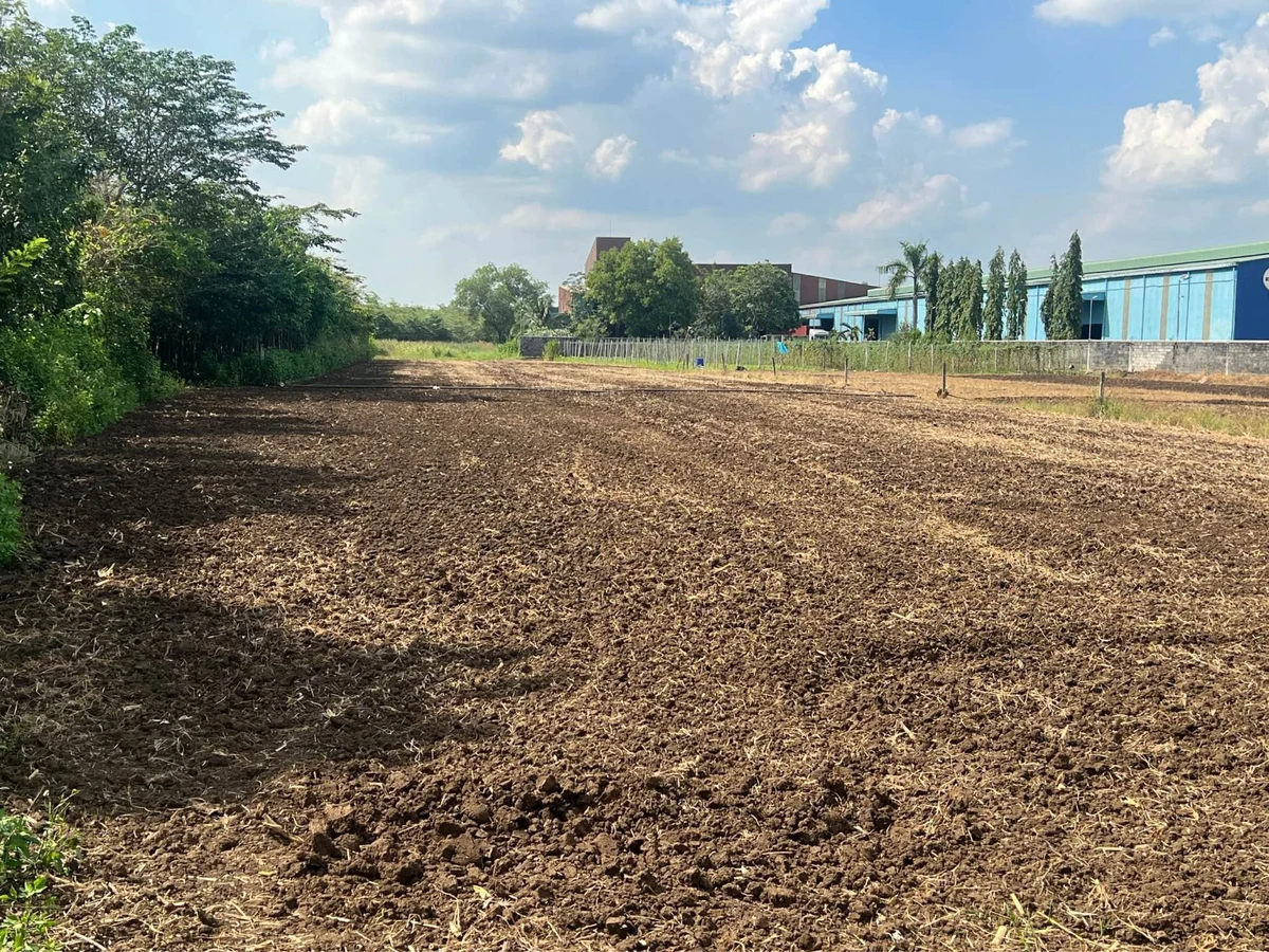Bán đất 5600m2 sổ cư Cẩm Mỹ Đồng Nai 8 tỷ - Ảnh thu nhỏ 3