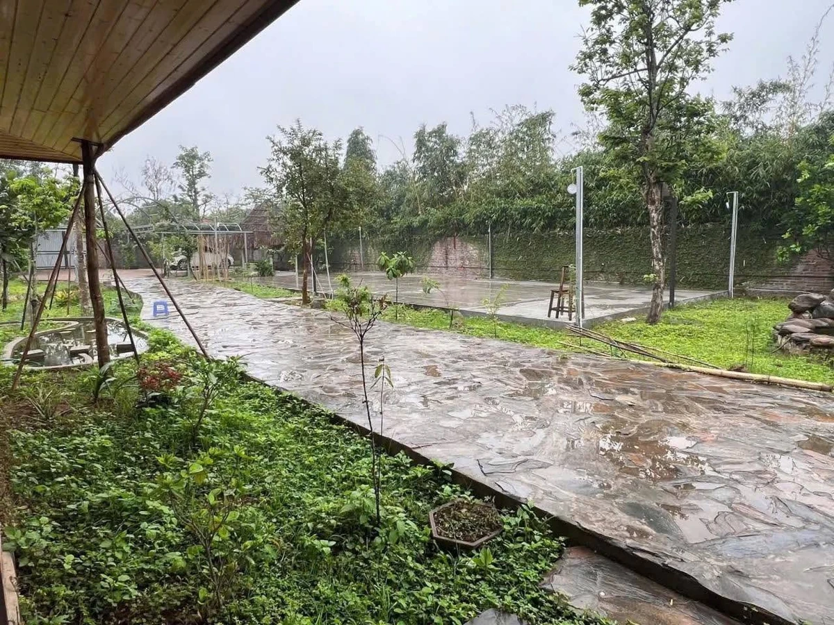 Nhà vườn Song Phương 1.500m² cho thuê 7 triệu/tháng - Ảnh thu nhỏ 5