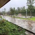 Nhà vườn Song Phương 1.500m² cho thuê 7 triệu/tháng - Ảnh thu nhỏ 5