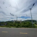 Bán lô đất 227m2 mặt đường nhựa thôn Nhơn Thái, Cát Nhơn giá 595 triệu - Ảnh thu nhỏ 2