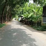 Bán đất thổ cư đường nhựa 6m, sau trường mầm non Phú An, gần DT744 - Ảnh thu nhỏ 2