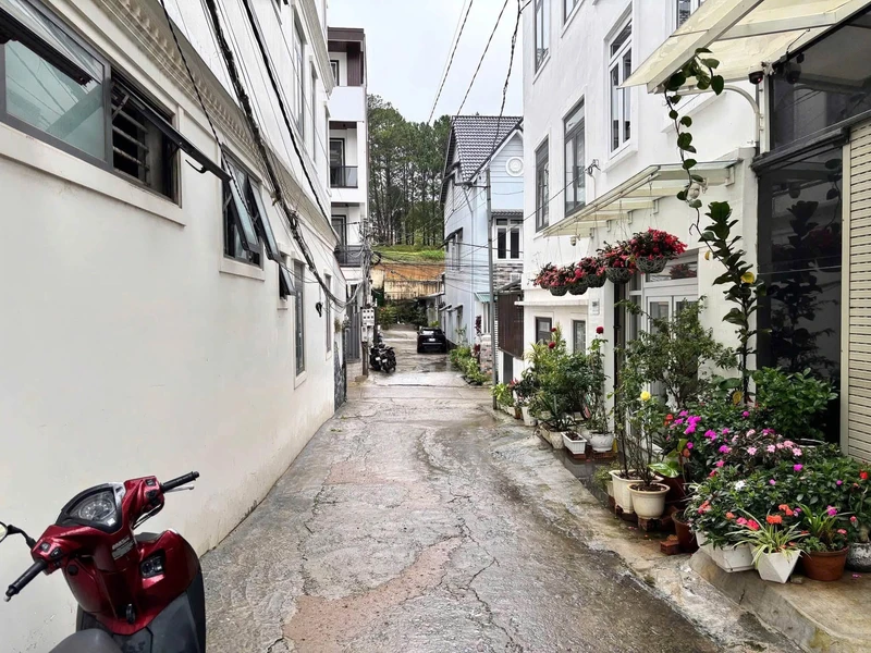 Bán đất Bùi Thị Xuân, Đà Lạt 48.2m² 6 tỷ